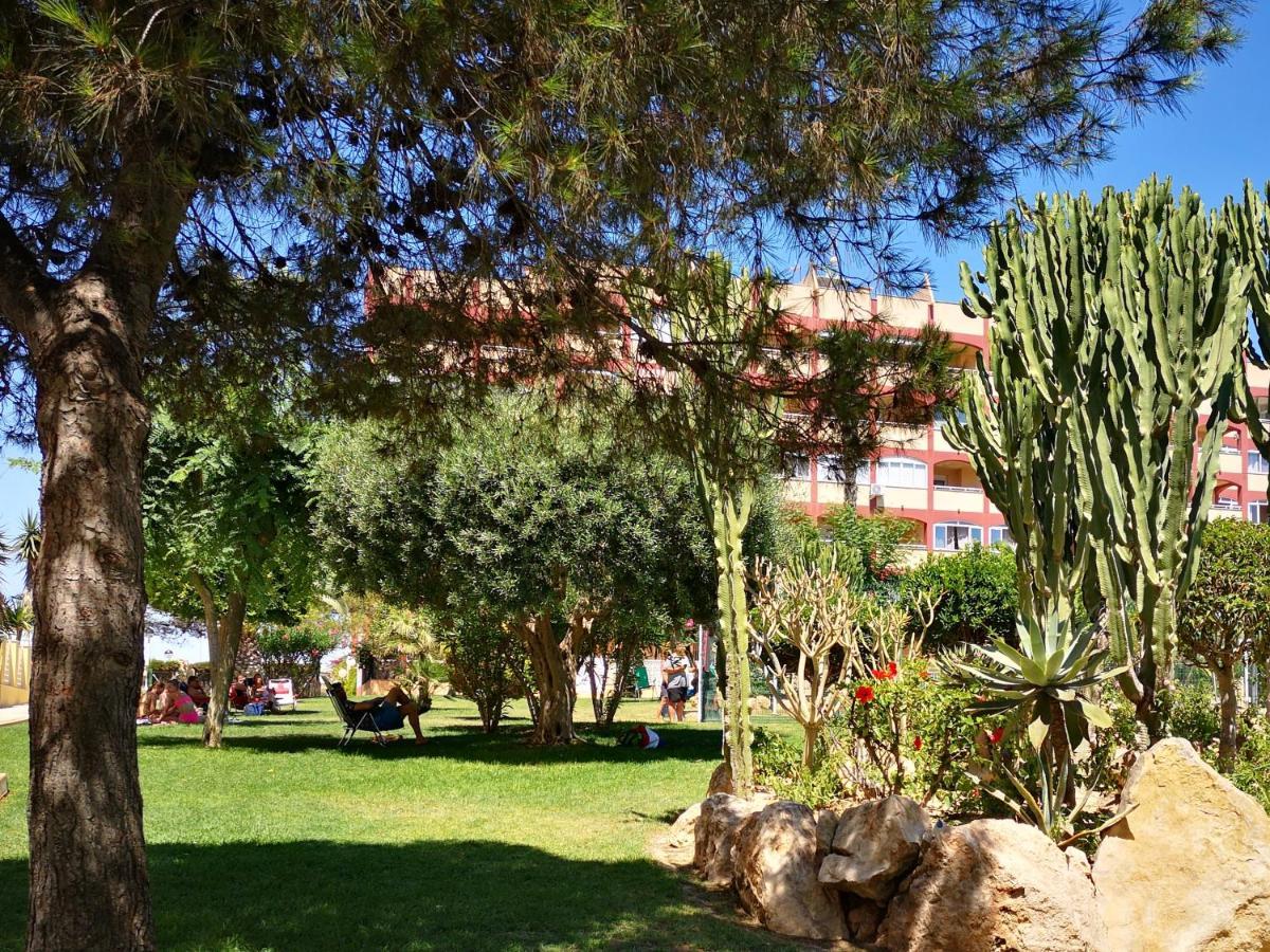 Studio With Terrace And Pool Torrevieja Extérieur photo