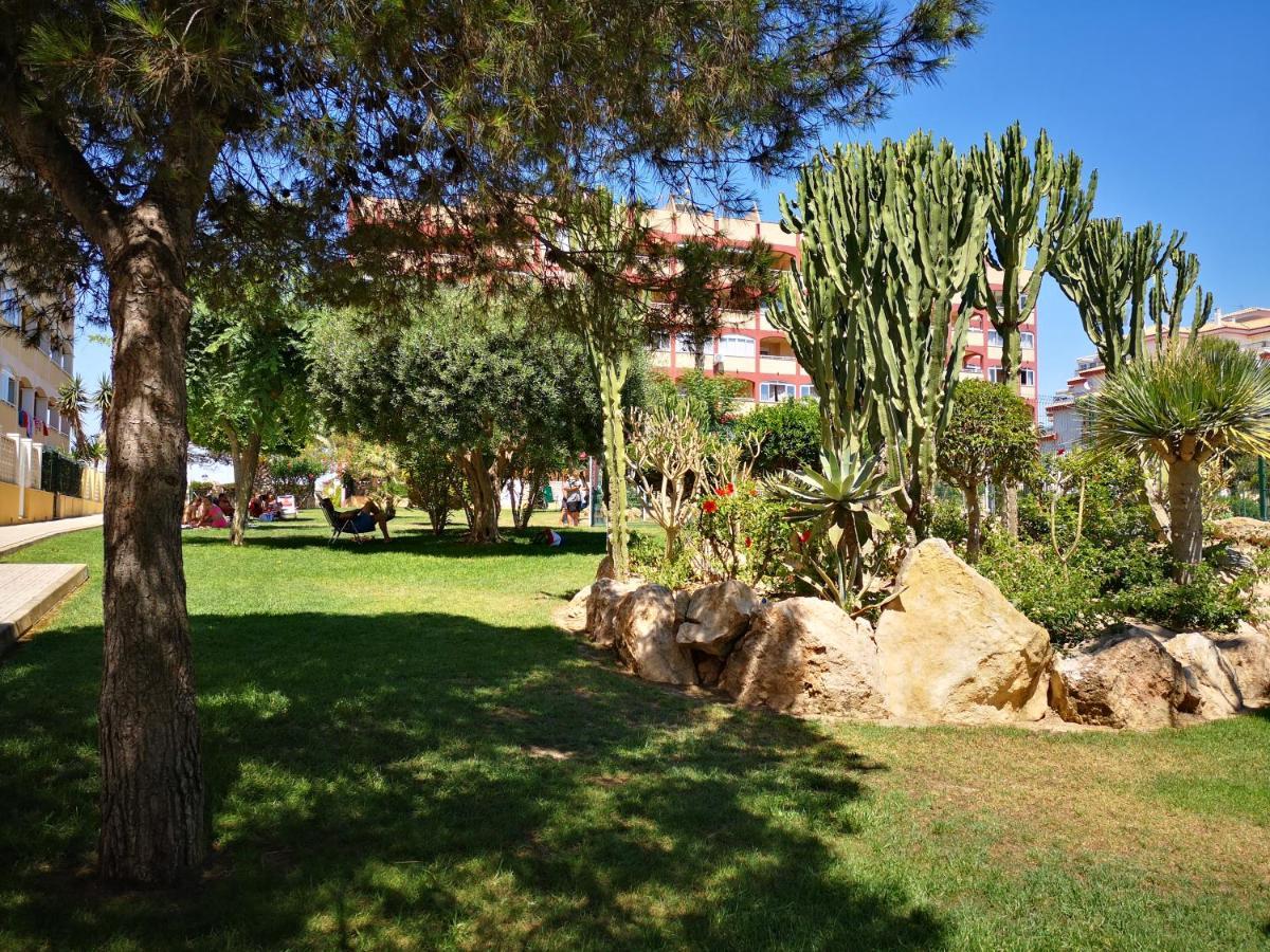 Studio With Terrace And Pool Torrevieja Extérieur photo