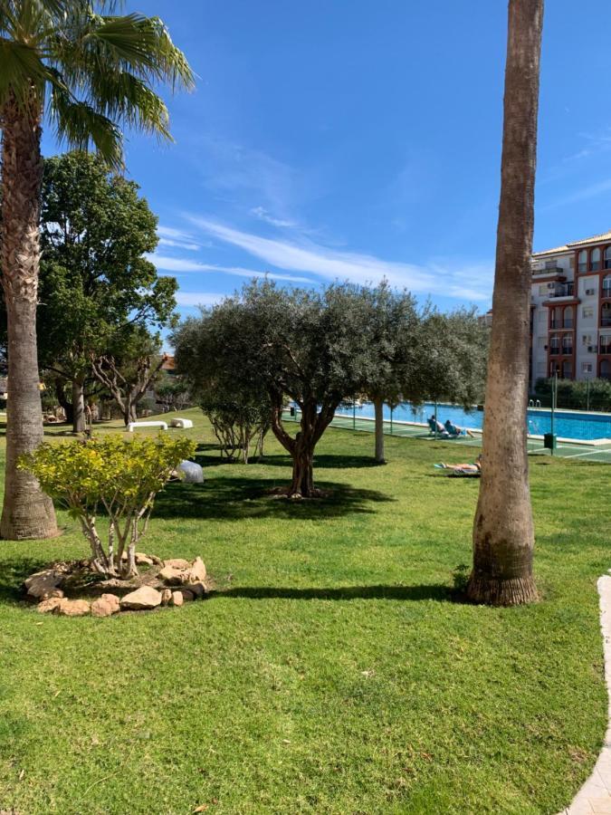 Studio With Terrace And Pool Torrevieja Extérieur photo